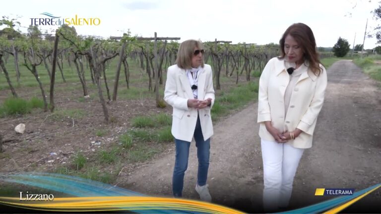 Visita alla Cantina Vitivinicola Lizzano