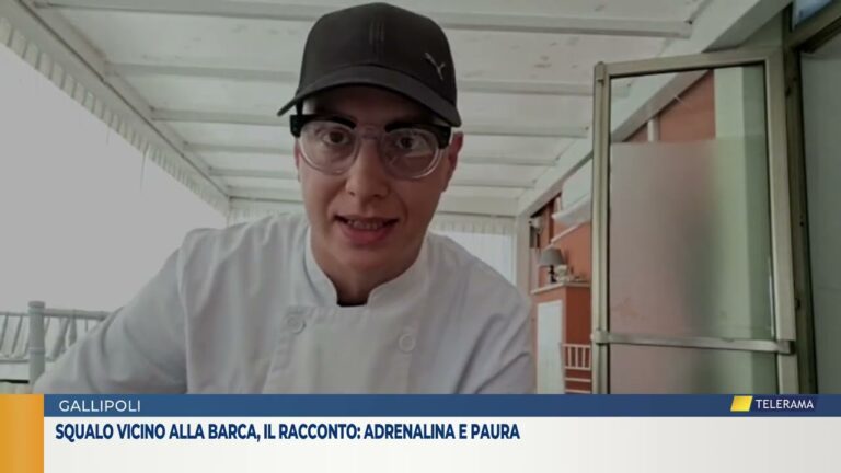 Squalo vicino alla barca, il racconto: adrenalina e paura