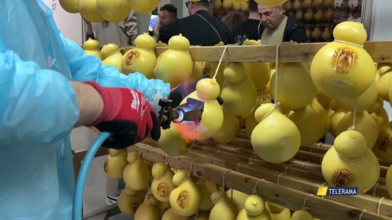 costume e societa’ deliziosa