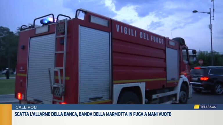 Scatta l’allarme della banca, banda della marmotta in fuga a mani vuote