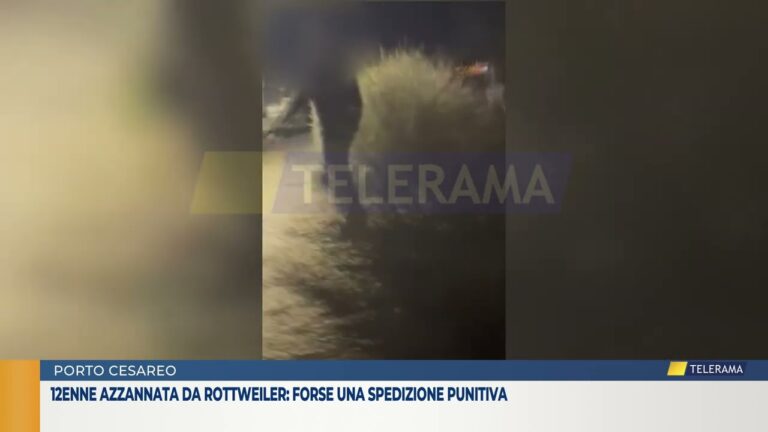 Porto Cesareo, 12enne azzannata da rottweiler: forse una spedizione punitiva