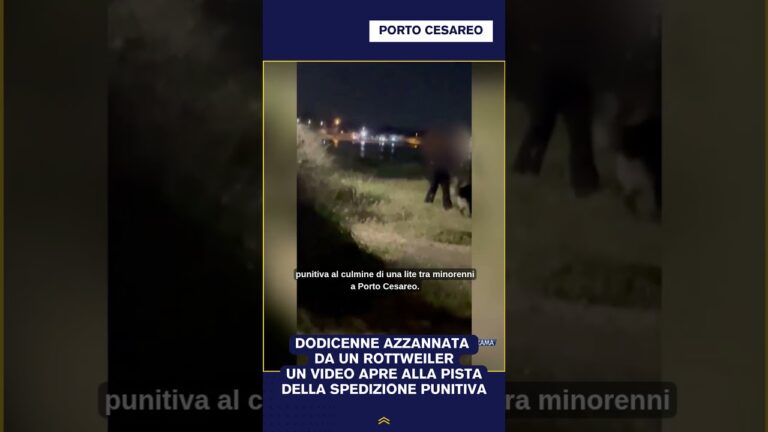 DODICENNE AZZANNATA DA UN ROTTWEILER UN VIDEO APRE ALLA PISTA DELLA SPEDIZIONE PUNITIVA