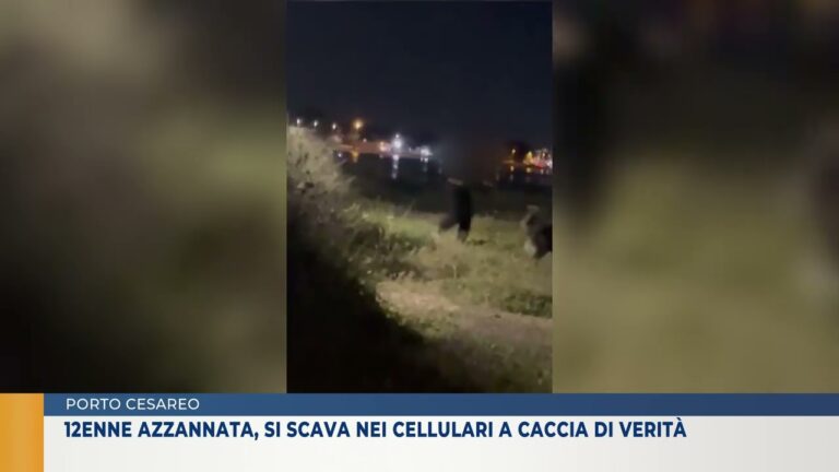 12enne azzannata a Porto Cesareo, si scava nei cellulari a caccia di verità
