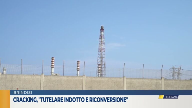Cracking, “Tutelare indotto e riconversione”