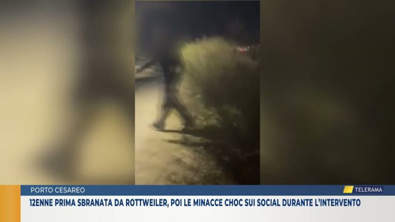 12enne prima sbranata da rottweiler, poi le minacce choc sui social durante l’intervento