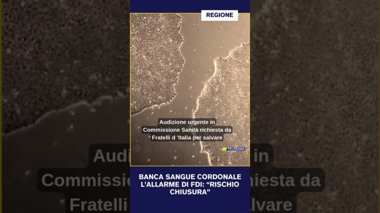 I titoli del 3 maggio.