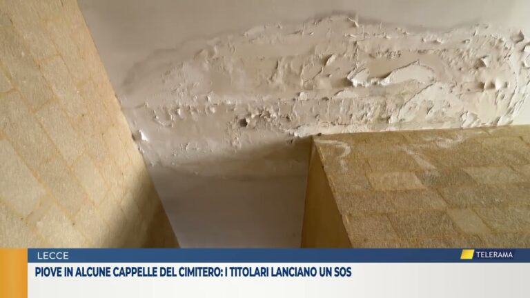 Piove in alcune cappelle del cimitero: i titolari lanciano un Sos