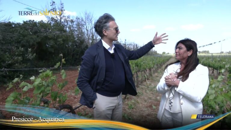 Visita alla Cantina Monsellato a Presicce-Acquarica