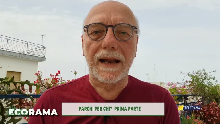 ECORAMA PUNTATA DEL  8 5 26  PARCHI PER CHI  PRIMA PARTE