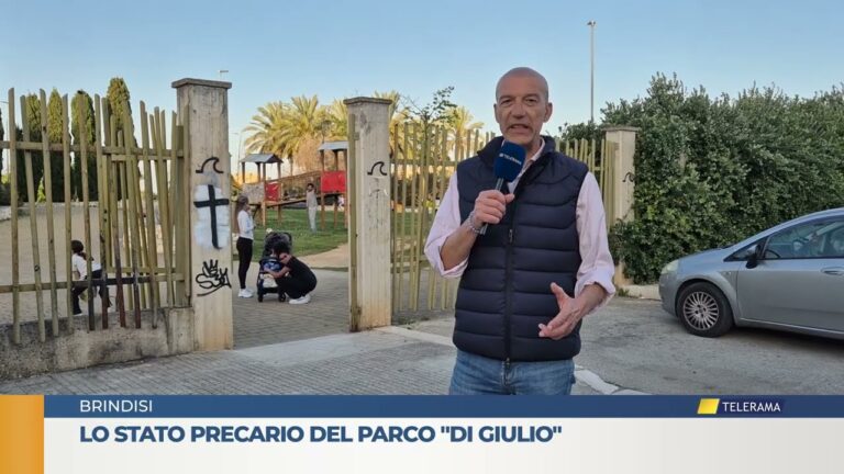 Lo stato precario del parco “Di Giulio”