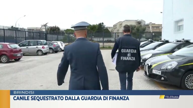Canile  sequestrato dalla Guardia di Finanza