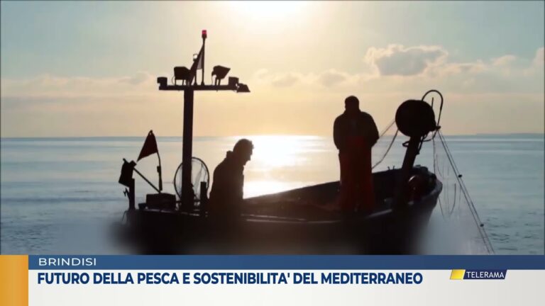 Futuro della pesca  e sostenibilità del mediterraneo