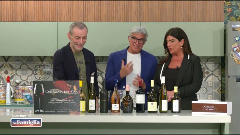 COMPAGNIA DEI VINAI pomeriggio in famiglia 14 maggio 2026
