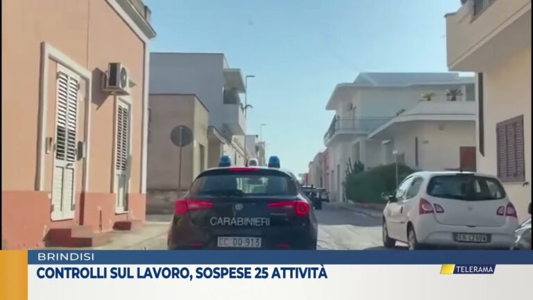 Controlli sul lavoro, sospese 25 attività