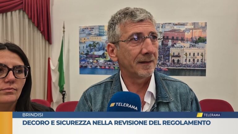 Decoro e sicurezza nella revisione del regolamento