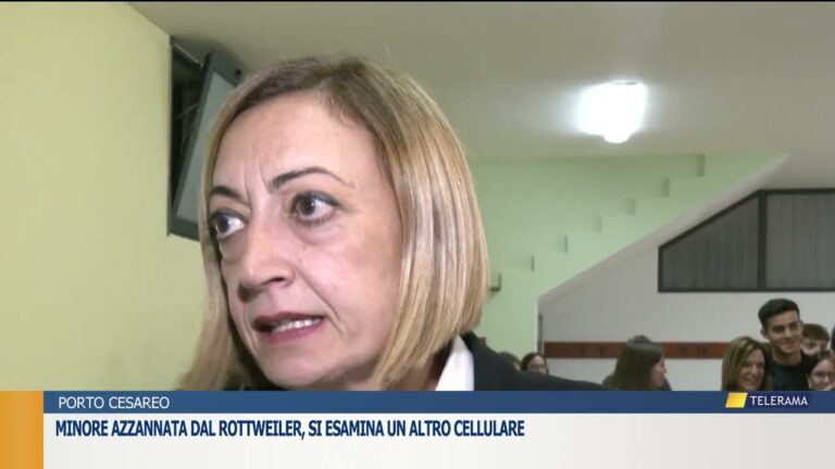 MINORE AZZANNATA DAL ROTTWEILER, SI ESAMINA UN ALTRO CELLULARE