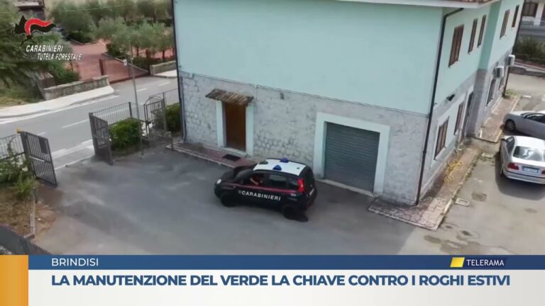 Manutenzione del verde la chiave contro i roghi