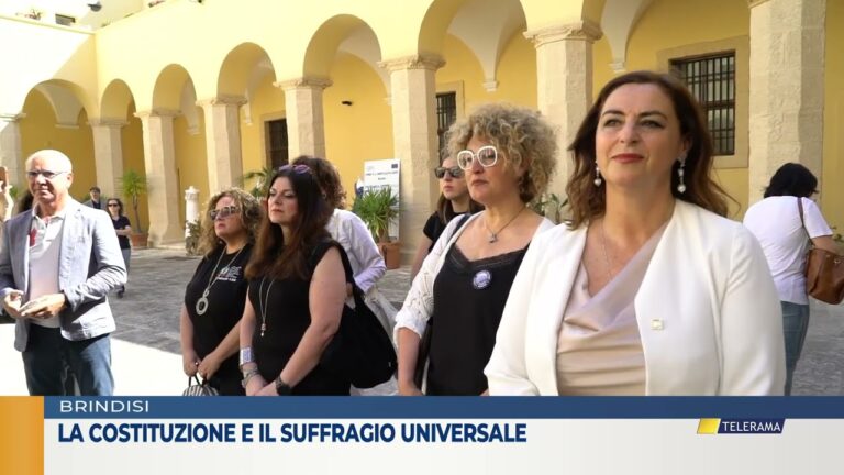 La costituzione e il suffragio universale