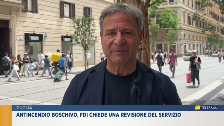 Antincendio boschivo, FdI chiede una revisione del servizio