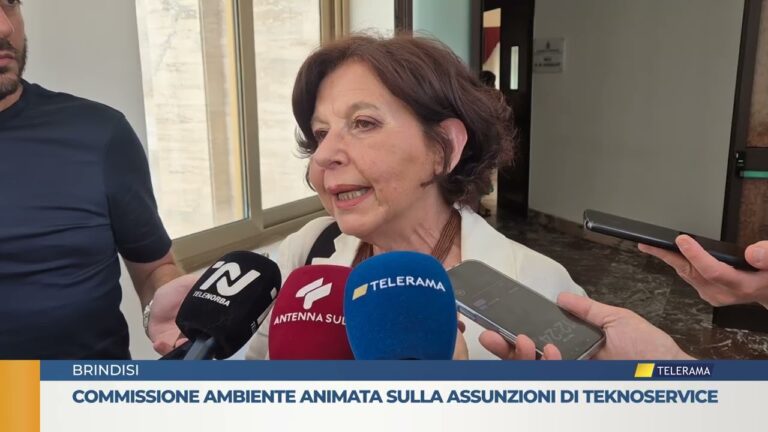 Commissione ambiente animata sulla assunzioni di Teknoservice