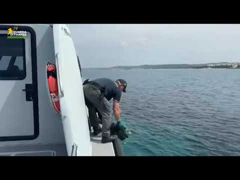Pesca abusiva di ricci di mare a Torre Sabea, scatta il sequestro della Guardia di Finanza