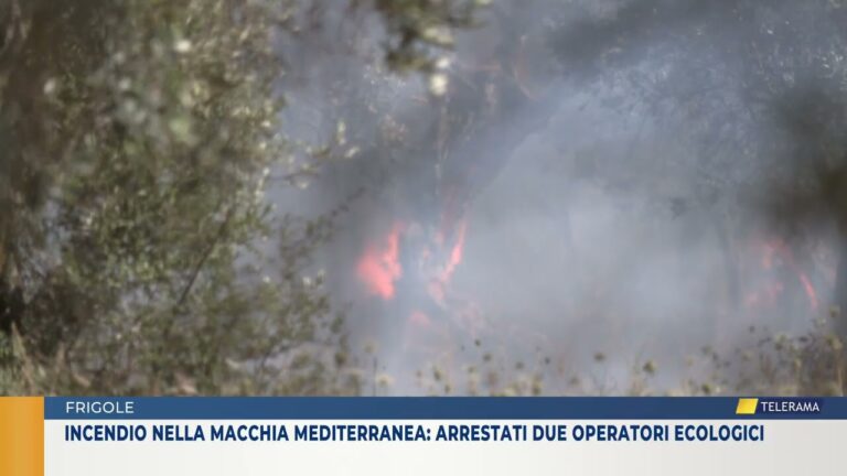 Incendio nella macchia mediterranea: arrestati due operatori ecologici