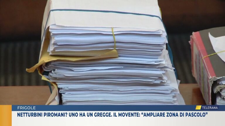 Netturbini piromani? Uno ha un gregge. Il movente: “ampliare zona di pascolo”