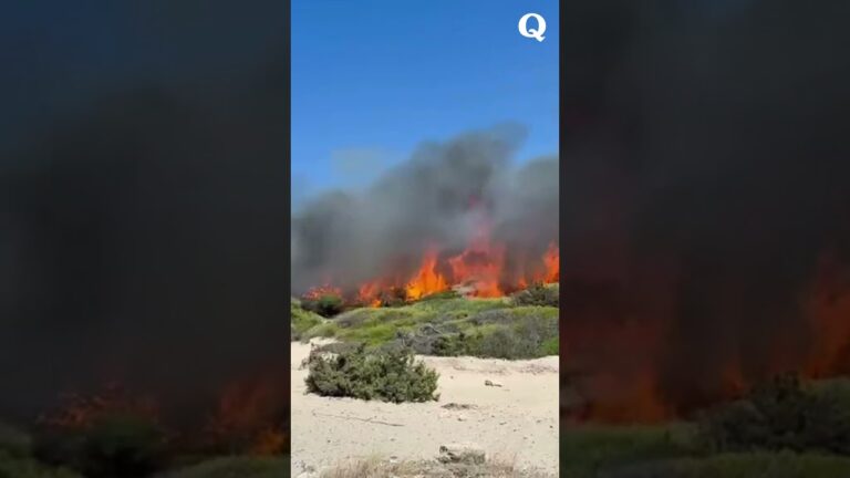 Gallipoli, incendio a Punta Pizzo: paura tra i bagnanti