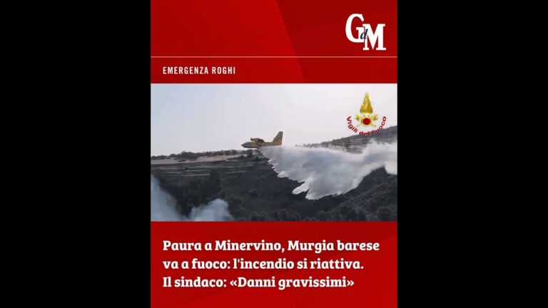 Paura a #Minervino, la #Murgia barese va a fuoco: l’#incendio si riattiva. Il sindaco: «Danni gravi»